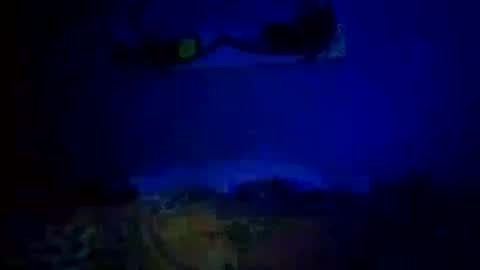 Snapshot of mjmckenz55 chatting on October 2025 11:05:01 PM Daddy720 online show from October 2025 11:05:01 PM