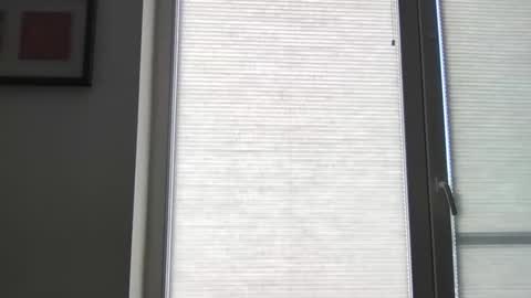 Snapshot of mko88951 chatting on April 2026 10:50:02 AM mko88951 online show from April 2026 10:50:02 AM