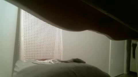 mmrstp online show from January 2025 11:41:02 AM