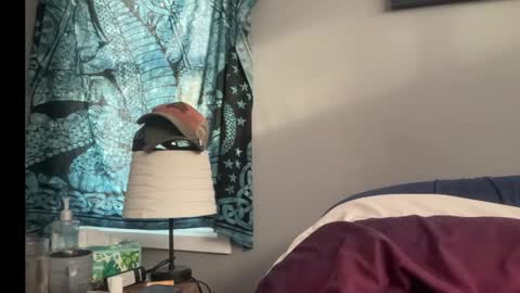 Snapshot of mntuila chatting on January 2025 03:15:01 PM MNTuiLa online show from January 2025 03:15:01 PM