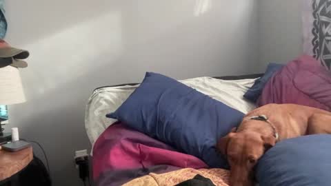 Snapshot of mntuila chatting on February 2025 03:39:01 PM MNTuiLa online show from February 2025 03:39:01 PM