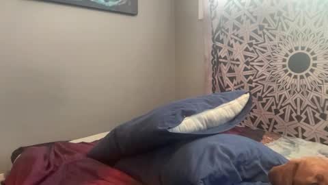 Snapshot of mntuila chatting on February 2025 03:39:02 PM MNTuiLa online show from February 2025 03:39:02 PM