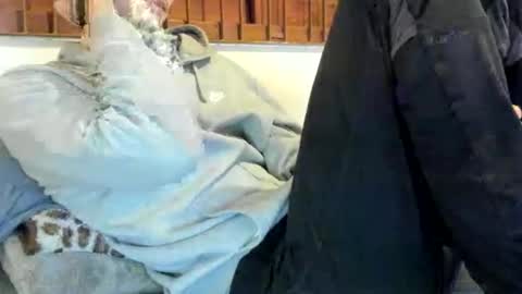 Snapshot of moderdelier chatting on November 2025 12:31:01 AM DigBreed online show from November 2025 12:31:01 AM