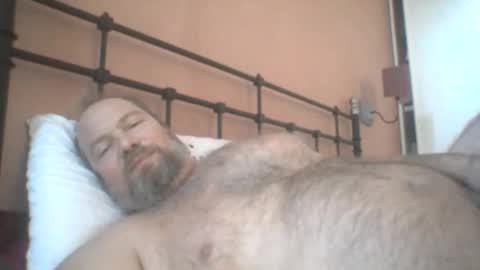 mofu781s online show from December 2024 08:26:01 AM