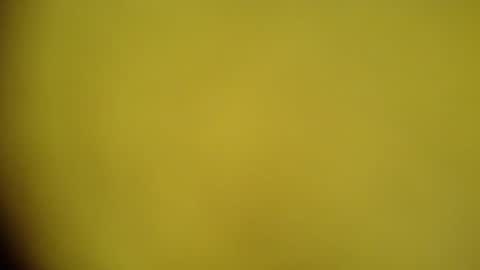 Snapshot of mohamedasif123 chatting on January 2025 06:22:02 AM mohamedasif123 online show from January 2025 06:22:02 AM