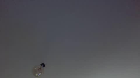 KinkyCoupleNL online show from December 2025 11:26:02 AM