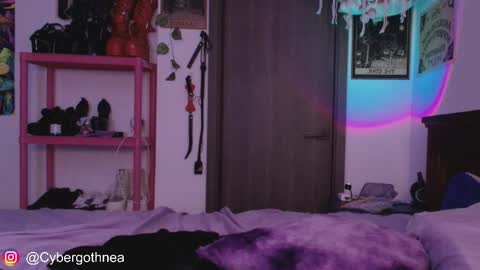 Snapshot of mollycrystalll chatting on April 2026 07:59:02 AM mollycrystalll online show from April 2026 07:59:02 AM