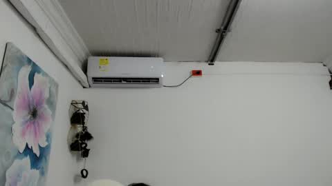 Snapshot of mom_17 chatting on January 2025 09:50:01 PM Celeste online show from January 2025 09:50:01 PM