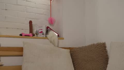 Snapshot of monicaasis chatting on February 2025 12:21:01 AM monicaasis online show from February 2025 12:21:01 AM