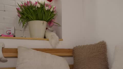 Snapshot of monicaasis chatting on March 2025 09:18:02 PM monicaasis online show from March 2025 09:18:02 PM