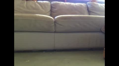 mookaite05 online show from March 2025 02:26:02 AM