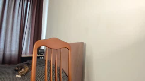 Zoe online show from March 2026 11:36:01 AM