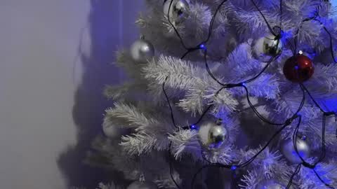 Snapshot of moona_one chatting on December 2024 06:54:02 AM Mona online show from December 2024 06:54:02 AM