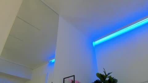 Snapshot of moonshard1 chatting on April 2026 08:31:01 PM Moon Shard online show from April 2026 08:31:01 PM