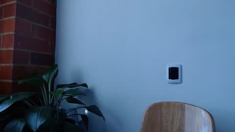 Abelardo online show from March 2026 06:13:02 PM