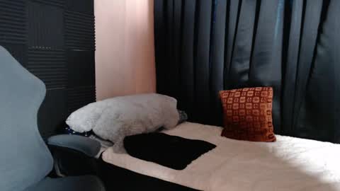 morenojake online show from April 2026 02:34:01 AM