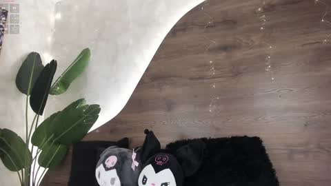  Morgan  online show from January 2025 11:45:02 AM