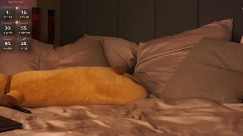 morphe online show from December 2024 11:26:02 PM