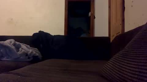 Snapshot of mr_big1983 chatting on December 2024 01:58:02 AM mr_big1983 online show from December 2024 01:58:02 AM