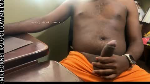 Snapshot of mr_hornet_rad chatting on April 2026 06:57:01 PM mr_hornet_rad online show from April 2026 06:57:01 PM