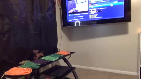 whateveryouwant online show from January 2025 09:58:02 AM