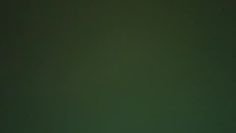 mr_lumia85 online show from January 2026 09:29:01 PM