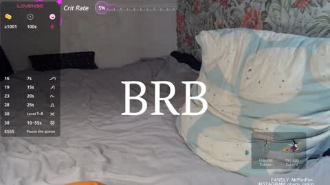 Snapshot of mr_pim_2_0 chatting on December 2024 03:22:01 PM Nikita ------------- online show from December 2024 03:22:01 PM