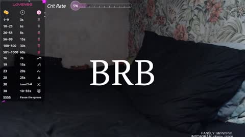 Snapshot of mr_pim_2_0 chatting on December 2024 02:52:02 PM Nikita ------------- online show from December 2024 02:52:02 PM