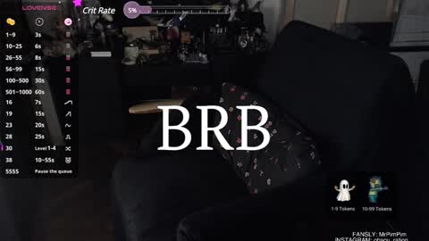 Snapshot of mr_pim_2_0 chatting on January 2025 02:04:01 PM Nikita ------------- online show from January 2025 02:04:01 PM