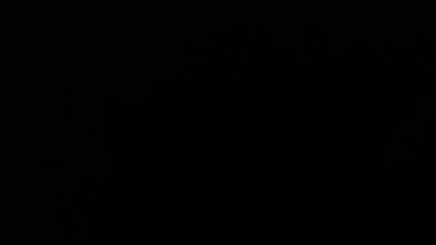 Snapshot of mrbillxxx chatting on April 2026 12:22:01 PM mrbillxxx online show from April 2026 12:22:01 PM