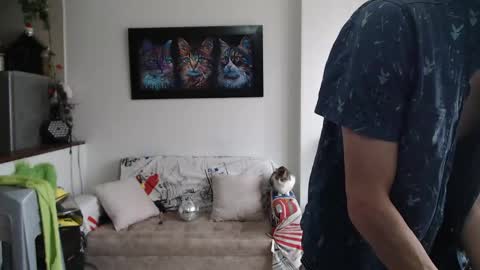 mrcock_col online show from May 2026 01:39:01 PM