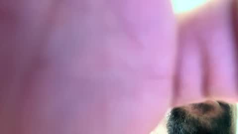 Snapshot of mrfrankfuckforfree chatting on December 2024 02:52:01 PM mrfrankfuckforfree online show from December 2024 02:52:01 PM