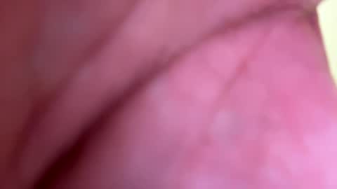 Snapshot of mrfrankfuckforfree chatting on January 2025 08:26:01 PM mrfrankfuckforfree online show from January 2025 08:26:01 PM