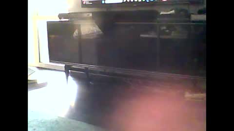 Nikola online show from January 2025 12:15:02 PM