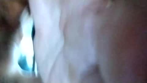 Snapshot of mrhotcock7inch chatting on December 2024 08:24:01 AM mrhotcock7inch online show from December 2024 08:24:01 AM