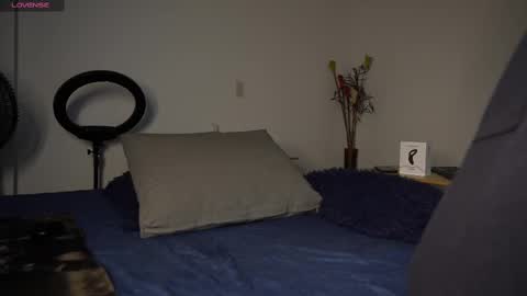 Luis    Instagram   online show from February 2025 07:28:02 PM