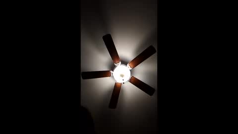 mrorange50187 online show from December 2024 12:32:02 AM