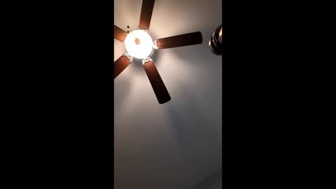 mrorange50187 online show from January 2025 02:52:01 PM