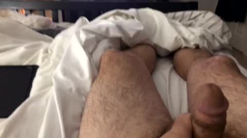 mrrogue online show from February 2025 04:36:02 AM