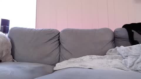 mrshlongboy21 online show from November 2025 05:59:01 PM