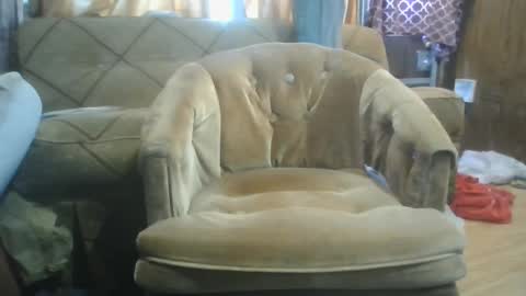 Snapshot of mrstergreen9 chatting on October 2025 08:29:02 PM mrstergreen9 online show from October 2025 08:29:02 PM