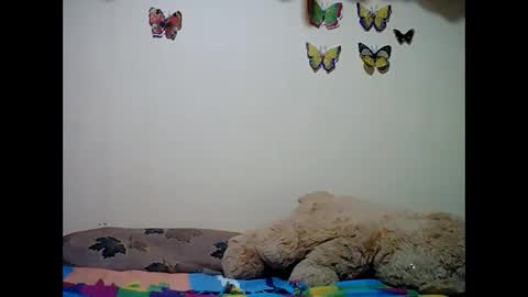 Snapshot of ms_teery chatting on December 2024 12:30:01 PM ms_teery online show from December 2024 12:30:01 PM