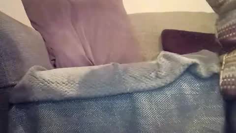 mtx9889 online show from December 2025 12:05:02 AM