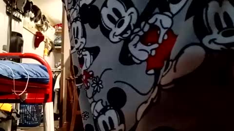 muddflapz online show from October 2025 10:56:01 AM