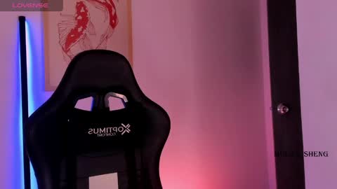 Snapshot of mulan_sheng69 chatting on April 2026 04:21:02 AM Mulan Sheng next broadcast December 4 online show from April 2026 04:21:02 AM