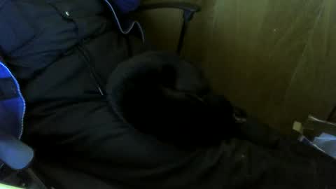 Snapshot of muller520 chatting on October 2025 01:57:02 PM muller520 online show from October 2025 01:57:02 PM