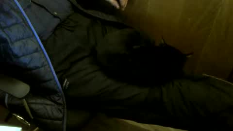 Snapshot of muller520 chatting on November 2025 03:49:01 PM muller520 online show from November 2025 03:49:01 PM