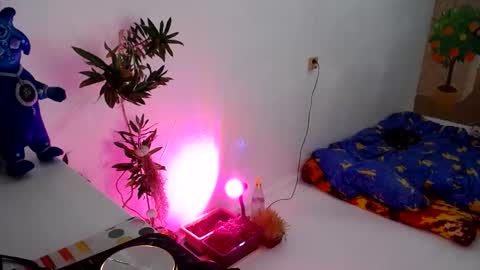 Muse Ali  online show from December 2024 05:18:02 PM