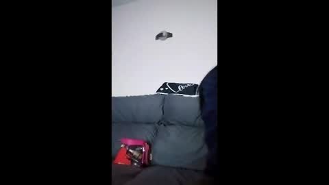 mweed95 online show from December 2025 05:06:02 AM