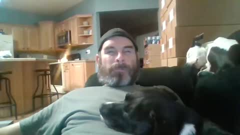 vienna online show from October 2025 06:54:01 AM